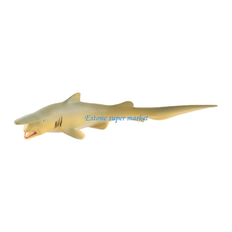 090B لعبة سمكة موراي واقعية لم - مراجعة Science Exhibition Models وسعره
