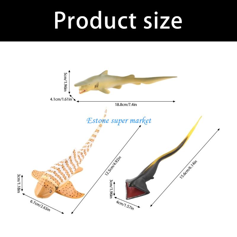 090B لعبة سمكة موراي واقعية لم - مراجعة Science Exhibition Models وسعره
