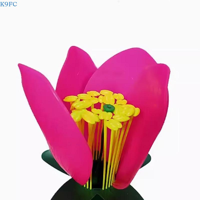 K9FC نموذج تعليمي واقعي للنبات - مراجعة Science Exhibition Models وسعره