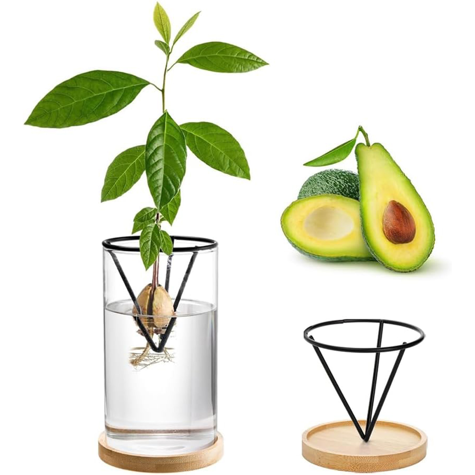 1 مجموعة شجرة الأفوكادو تزايد  - مراجعة Crystal Growing Kit وسعره